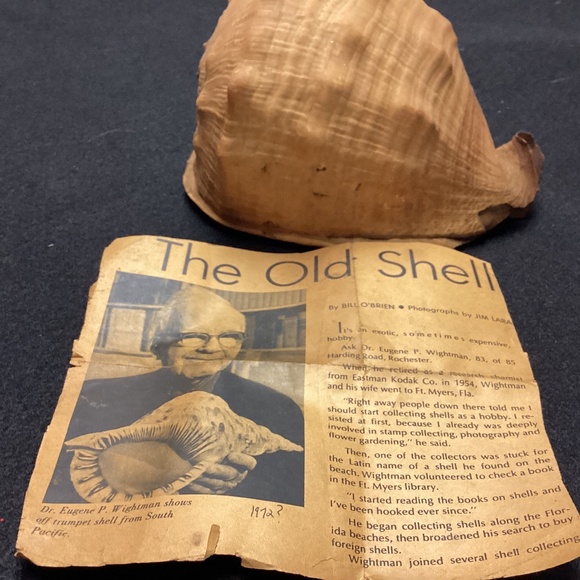 Sea Shell HELMET SHELL Other - Rare XL Vintage Florida  SEA SHELL. HISTORY ARTICLE TOO HELMET SHELL OLD !!!